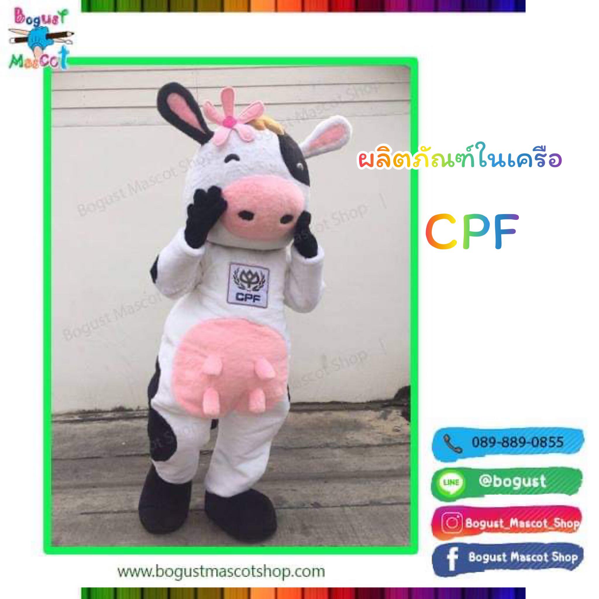 มาสคอต (Mascot) ---> วัว , CPF , cow
